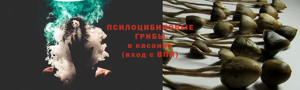 apvp Балабаново
