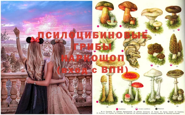 apvp Балабаново