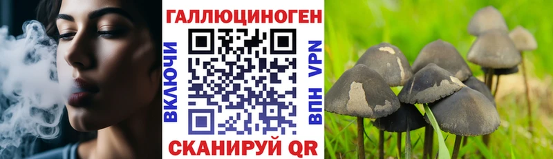 Псилоцибиновые грибы Magic Shrooms  Углегорск 