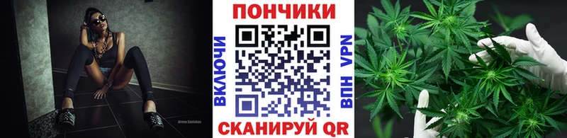 сайты даркнета телеграм  закладки  Углегорск  Конопля сатива 